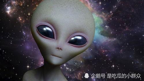 外星人沐沐 宇宙人,探索宇宙人生的奥秘之旅