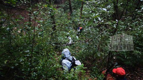 深山密林,自然秘境的神秘探险之旅