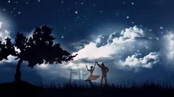 爱的小夜曲,浪漫旋律中的情感共鸣