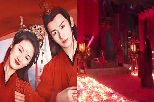 落花逢君冠中宫,共赴中宫之约